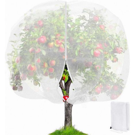 Hochwertiges 2,4 x 2,4 m großes Gartennetz, Insekten- und Vogelschutz für Obstbäume, feinmaschig, schädlingssicher, langlebig und wiederverwendbar (1/5)
