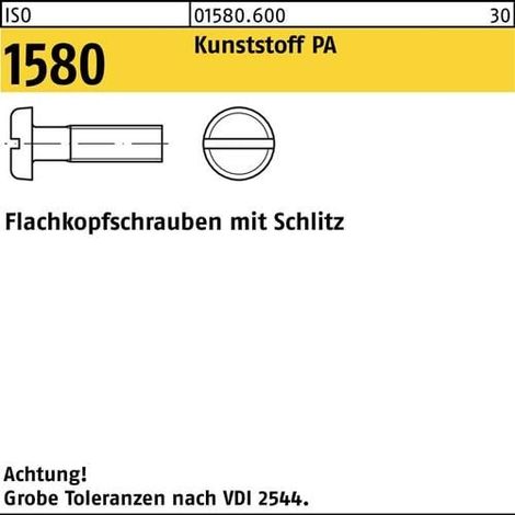 Vis à tête plate ISO 1580 fente M3x 6 Polyamide 200 pièces