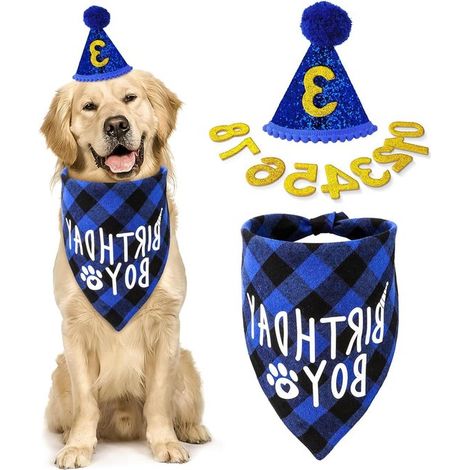 Inovra Plus, Set de gorros y pañuelos festivos para cumpleaños de perros, 10 piezas, Macho, Números con purpurina, medianos y grandes (1/5)