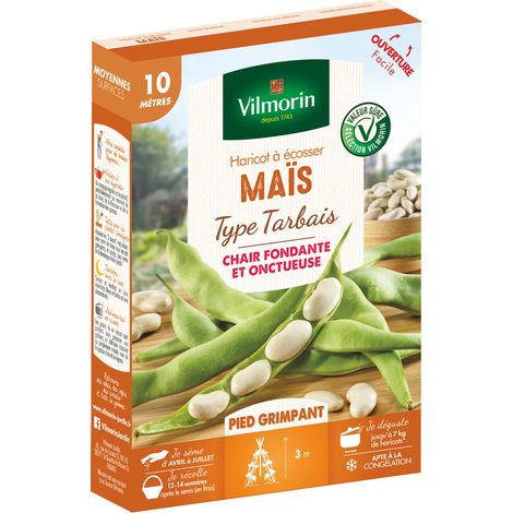 Vilmorin – Haricot grimpant à écosser maïs type Tarbais – Graines pour exposition en plein soleil – Semis de mars à juin – Récolte de juillet à septembre