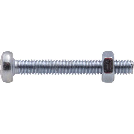 Vis à métaux zinguée tête cylindrique bombée PZ cruciforme Viswood Ø 4x20 mm (lot de 12 vis+écrou) (1/2)
