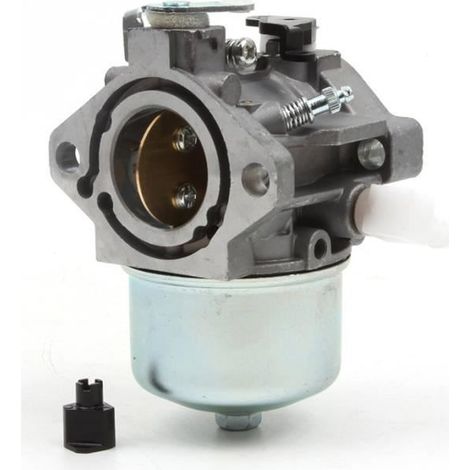 Carburateur - Briggs & Stratton - 699831 - Aluminium - Compatible avec plusieurs modèles - 1 pièce (1/4)