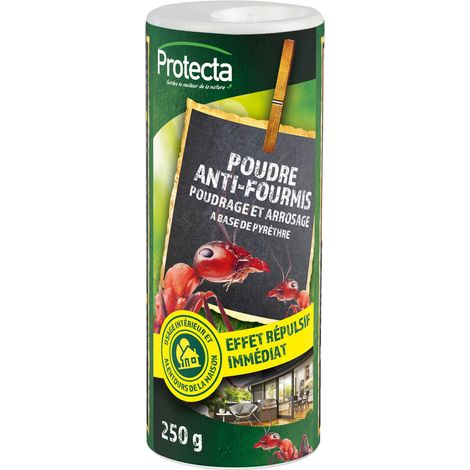 Polvere Antiformiche 250g - Protecta