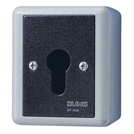 JUNG 806.28 G COMMUTATEUR À CLÉ