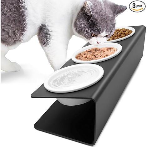 Bol pour chat, porte - vaisselle pour chat, bol pour chat en céramique 3x avec support en métal antidérapant, support inclinable 15 ° bol pour chat, bol pour chat et chien, pour chat et petit chien