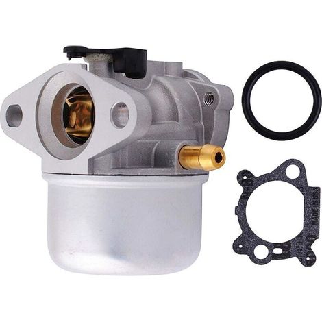 Il carburatore 799868 si adatta al carburatore 498170 799868 497586 498966 799872 (1/5)