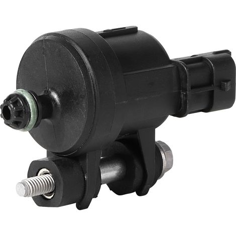 Magnetventil für Aktivkohlefilter 12610560 passend für BUICK ALLURE CX 2010 (1/5)
