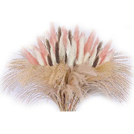 Ornement d'herbe de Pampas séchée naturelle, Bouquet de fleurs séchées moelleuses, adapté à la maison Boho Orna, 60 pièces (1/5)