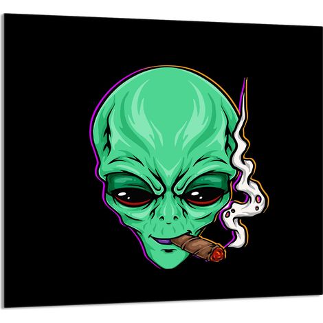 GLASPLATTE FÜR KÜCHE 65x60 UFO (1/5)