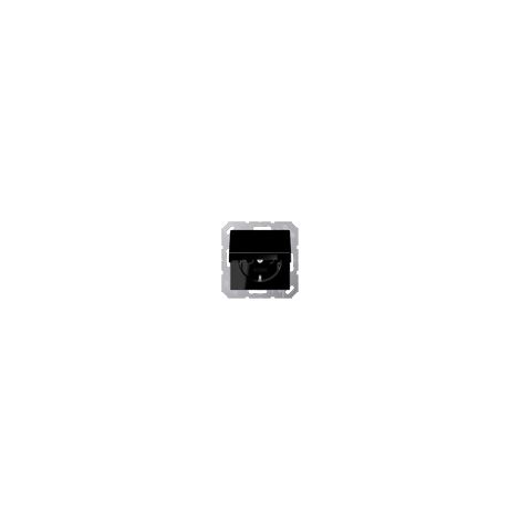 Jung Toma de corriente SCHUKO®, 16 A 250 V , tapa abatible, duroplástico, Serie A, negro A 1520 KL SW