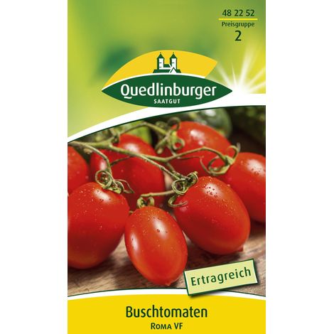Quedlinburger Saatgut – Tomate naine Roma VF – Graines de légumes, tomate allongée pour sauces, hauteur 50 à 80 cm (1/2)
