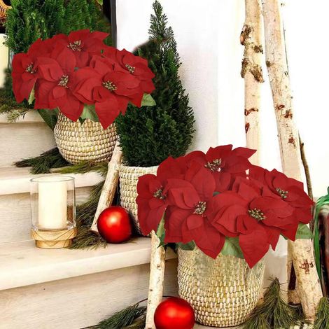 Poinsettia Artificielle - Tige de Fleur pour Arrangement en Vase - Décoration de Noël et Intérieure - 2 Pièces - 75 cm (1/5)