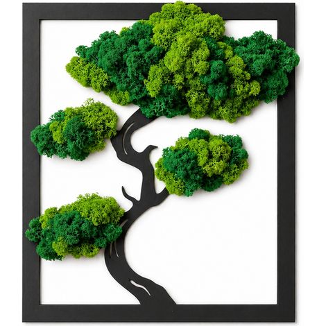 Rechteckiger Bonsai-Baum mit Moos (1/4)