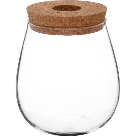 Vase hydroponique en verre transparent pour plantes de bureau, station de propagation de l'eau, pot de terrarium pour pothos, bibliothèque, bureau, décoration d'intérieur (1/5)