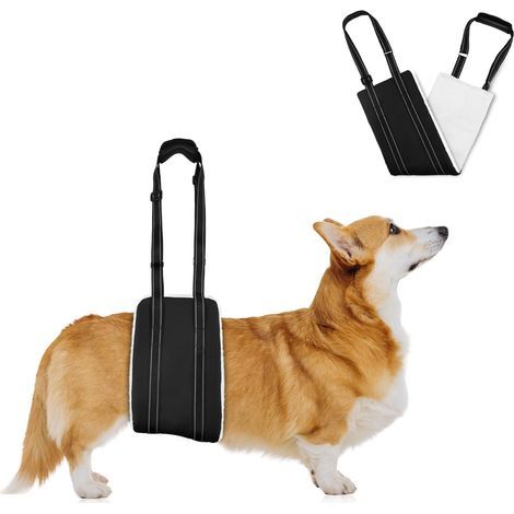 Harnais pour Chien Handicapé, Harnais réglable pour Chien, Aide à la Marche, Cuir PU Imperméable et Anti-Salissure et Matériau Doux et Moelleux, Convient aux Chiens âgés et handicapés (S) (1/5)