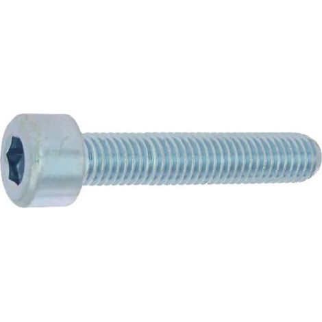 Viti in acciaio zincato bianco 5x20 mm - 200 pezzi