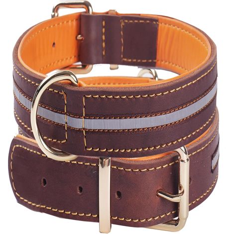 Collier pour Chien en Cuir véritable,réfléchissant,rembourré et réglable M (1/5)