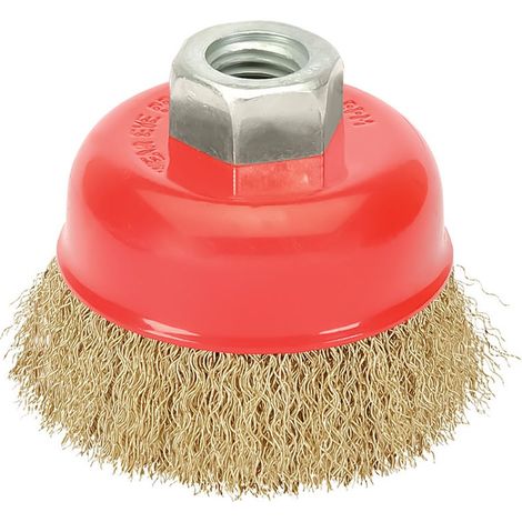 Brosse boisseau en acier laitonné, Ø 100 mm. Filetage M14/fil Ø 0,30 mm. (1/3)