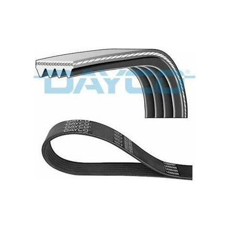 Courroie trapézoïdale à nervures Dayco 4pk736 CHEVROLET 1120199 1172016E01