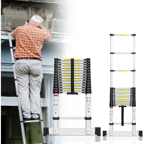 Wolketon Scala a libretto telescopica 4,4m con stabilizzatore, multifunzione, 150kg