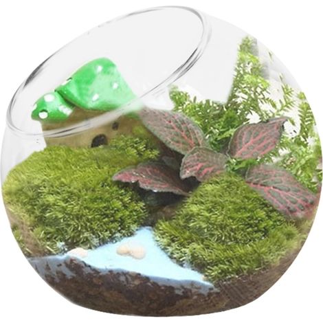 Vase 12 16 20 cm rund Terrarium eleganter Pflanzen