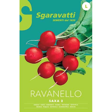 Semi per Ortaggi e Vegetali Ravanello Saxa 2 Sgaravatti 20 Pezzi (1/2)