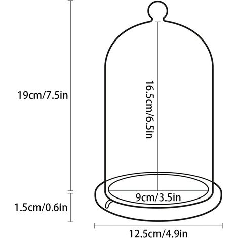 Cloche en Verre Transparent avec Fond en Bambou pour Décoration de Mariage, Fêtes et Arrangements Floraux (1/5)