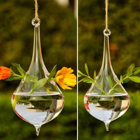 Hängendes tropfenförmiges Seil-Terrarium für Luftpflanzen und Sukkulenten (1/5)