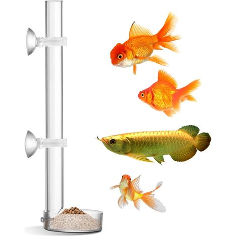 Alimentador de gambas para acuario, de acrílico transparente y duradero - Tubo de alimentación para acuario ya ensamblado - 25 cm (1/5)