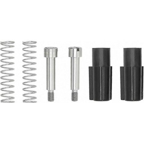 Kit Ressorts Vis de Presse pour Platines Pioneer RT 701 707 1011L 1020L 1050L 2022 2024 RTU 11, Accessoires d'Ouverture à Vis et Ressorts (1/5)