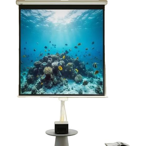 Pantalla de proyección de 85 pulgadas en diagonal, tela antiarrugas, resolución Ultra HD 4K, relación de aspecto 1:1, ángulo de visión de 160 grados. (1/5)