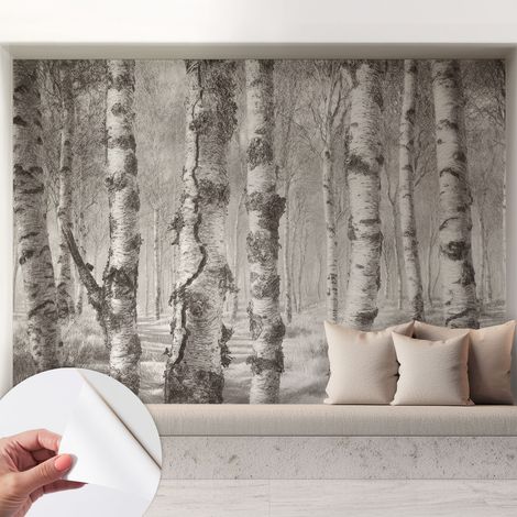 Papier peint autocollant avec imprimé décoratif pour salon et chambre à coucher Installation facile Forêt de bouleaux 208x146 cm (1/5)
