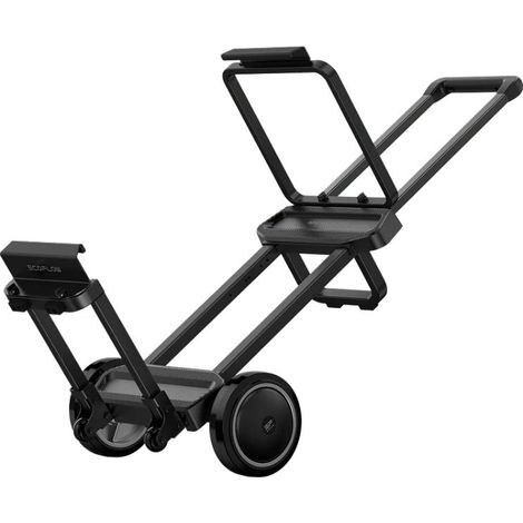 Chariot EcoFlow DELTA Pro Ultra – Mobilité robuste pour batterie & onduleur (1/2)