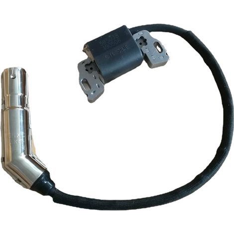 Bobine d'allumage pour Briggs & Stratton 595304 799650 795315 (1/4)