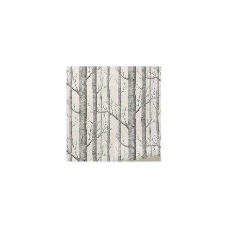 Papier peint motif bouleau, rouleau de papier peint décoratif moderne, papier peint forêt pour chambre (1/5)