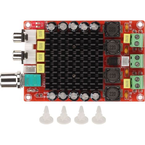 Carte Amplificateur Numérique 100W+100W Dual Channel Classe D Professionnelle pour Système Audio DIY (1/5)