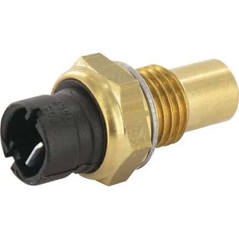 Temperaturfühler M14 LOMBARDINI 9195050 (1/2)