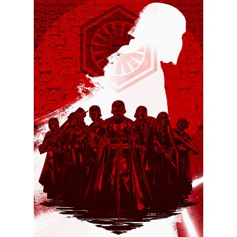 Papier peint panoramique romantique,enfant,moderne Star Wars Suprême Leader (1/4)