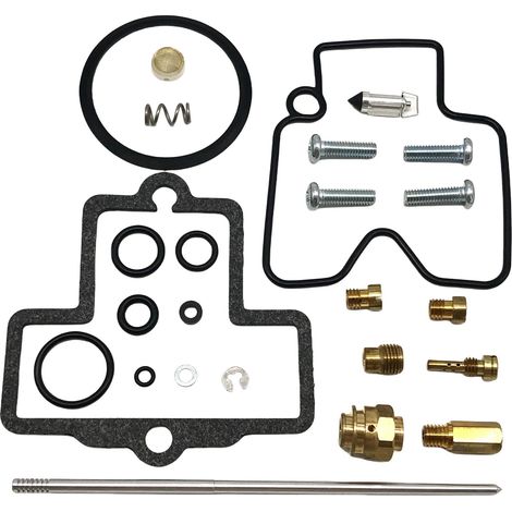 Kit orf réforrtiorn ctorrburtorteur - cormptortibgivthere DRZ400E - F236 (1/4)
