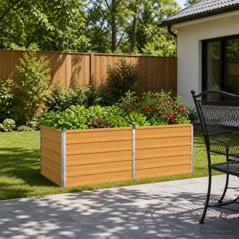 Jardin surélevé Naturel 160 x 80 x 55 cm acier laminé à froid (1/5)