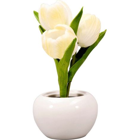 Lampe de table tulipe à lumière douce, en céramique PU blanche, avec base en céramique raffinée. Fonctionne sur piles. Idéale pour les librairies et les cafés. (1/5)