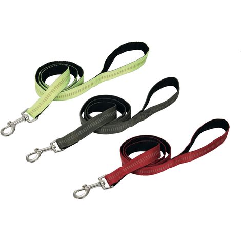 Guinzaglio Con Moschettone Per Animali Domestici Modello Color Doggy 120cm, misura120cmcoloreRosso (1/4)