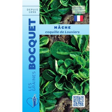Mâche Coquille de Louviers - 5g