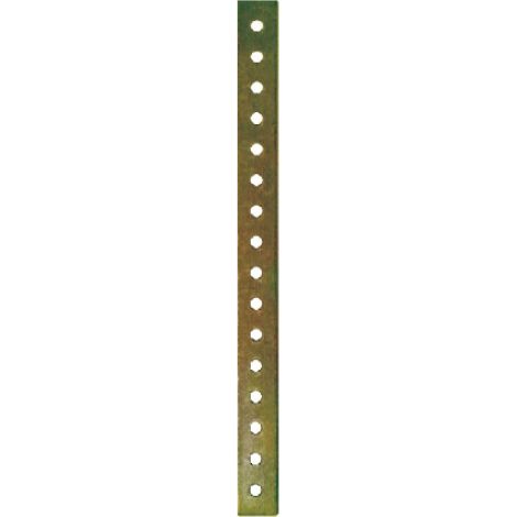 Piastrina friulsider forata pesante 20x100mm - st100yz