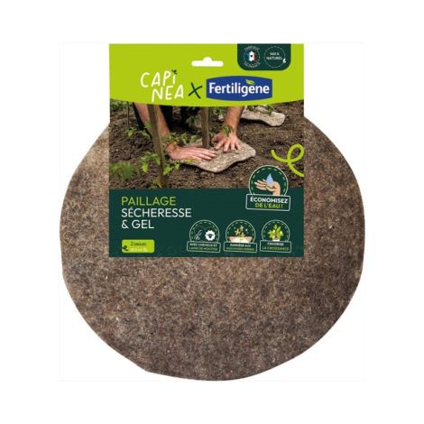 Discos de acolchado evergreen garden 2 unidades 38.5 cm