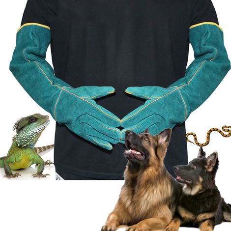 Gants de protection anti-morsure extensibles en toile bleue pour l'entraînement des reptiles, adaptés aux serpents varanidés, chiens et chats (bleus) (1/5)