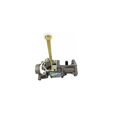 Carburateur S-giant 5 HP avec joints, compatible avec les moteurs Briggs & Stratton séries 130202, 112202 et 112232, et avec les références 498298, 495426, 692784, 495951, 492611 et 490533.