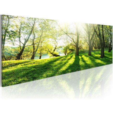 Quadro - Nei raggi di sole - 135x45 (1/4)
