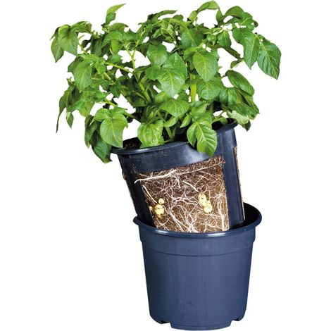 Esschert Design Kartoffelpflanztopf Blau Ø 30,2 cm - PP