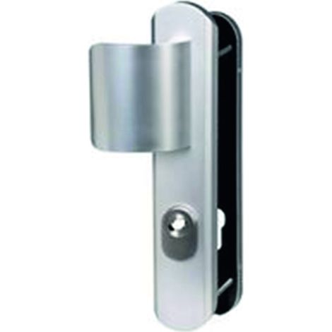 Ensemble de sécurité palière sur grande plaque SECUMAX ONE champagne - VACHETTE